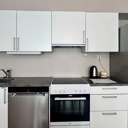 Executive 2-bedroom Lift Street Parking 8 Guests 奥斯陆